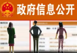  衡山县柔道铜牌是哪一年 
